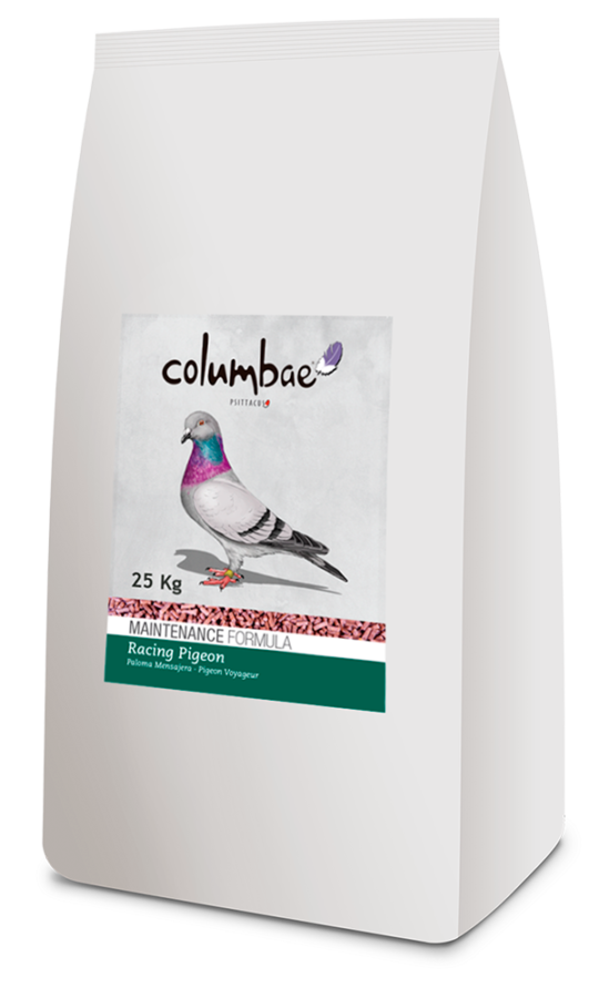 Lait de jabot pour Pigeons NourriOiseaux